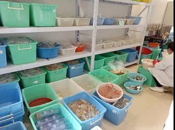 正確的洗瓶方法，幫助你擺脫實驗室洗瓶煩惱！